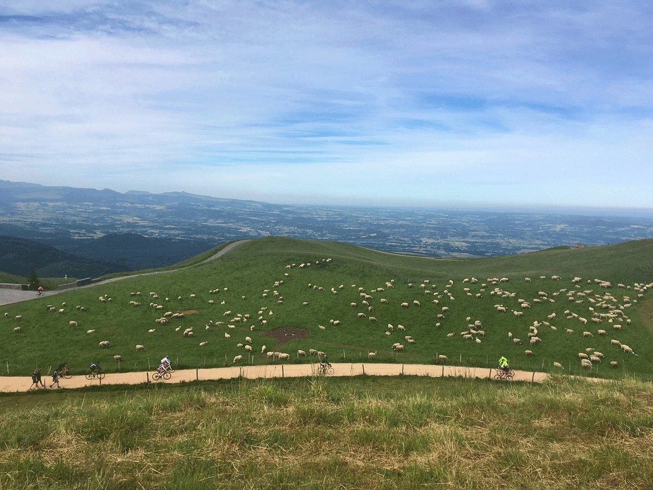moutons et vélo pour la Montée du Puy de Dôme