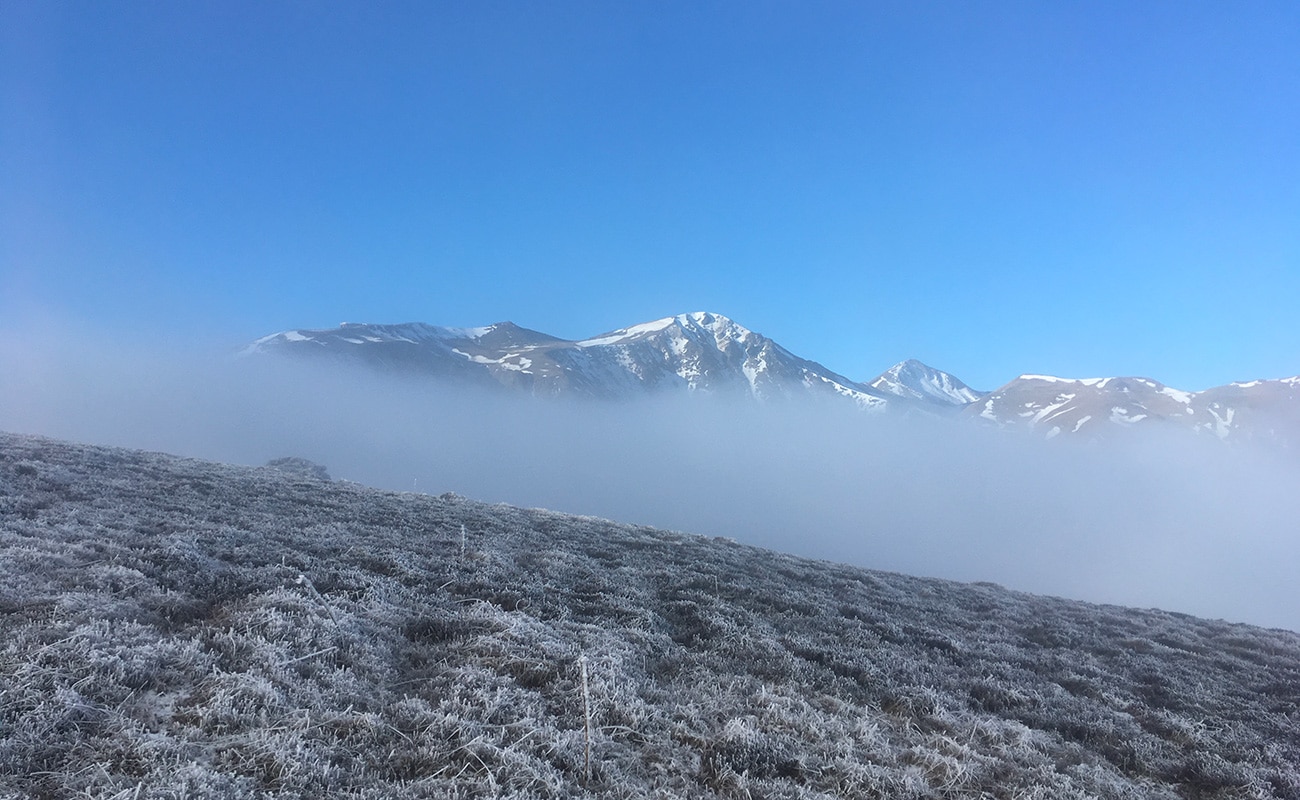 brouillard sancy et vallée de chaudefour