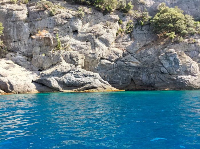 site plongée réserve marine portofino